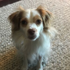 Meet your Posher, Robin